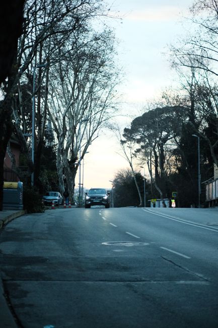 A wide residential street during late evening with a gentle slope, featuring a few parked vehicles along the curb, including a yellow van, and a white car driving uphill. Tall, leafless trees line both sides of the street, their branches extending over the road. The pavement appears wet, possibly from recent rain, and streetlights are visible but not illuminated. In the distance, the sky is mostly clear with soft evening light. This scene reflects a typical setting where home removals or furniture transport might occur, with the open road and parking areas suitable for loading or unloading. Man and a Van Highbury, a professional removals company, may conduct home relocation or moving services in this environment, supporting the logistics of packing and furniture transport.
