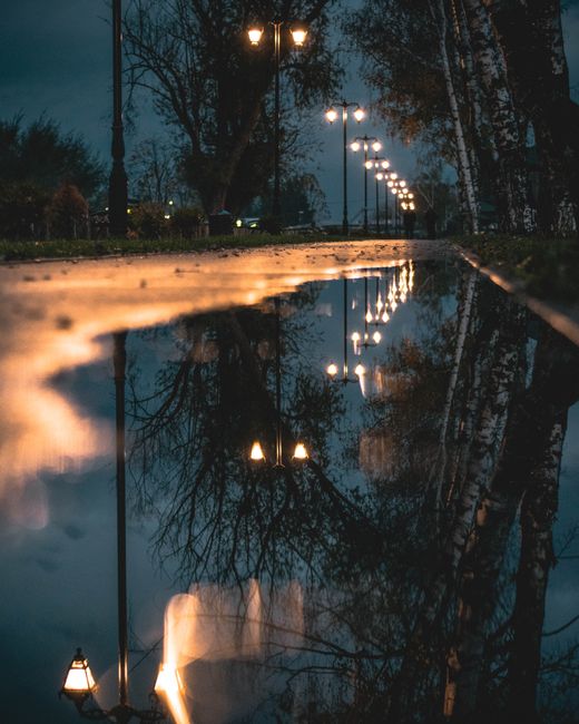 A wide residential street during late evening with a gentle slope, featuring a few parked vehicles along the curb, including a yellow van, and a white car driving uphill. Tall, leafless trees line both sides of the street, their branches extending over the road. The pavement appears wet, possibly from recent rain, and streetlights are visible but not illuminated. In the distance, the sky is mostly clear with soft evening light. This scene reflects a typical setting where home removals or furniture transport might occur, with the open road and parking areas suitable for loading or unloading. Man and a Van Highbury, a professional removals company, may conduct home relocation or moving services in this environment, supporting the logistics of packing and furniture transport.